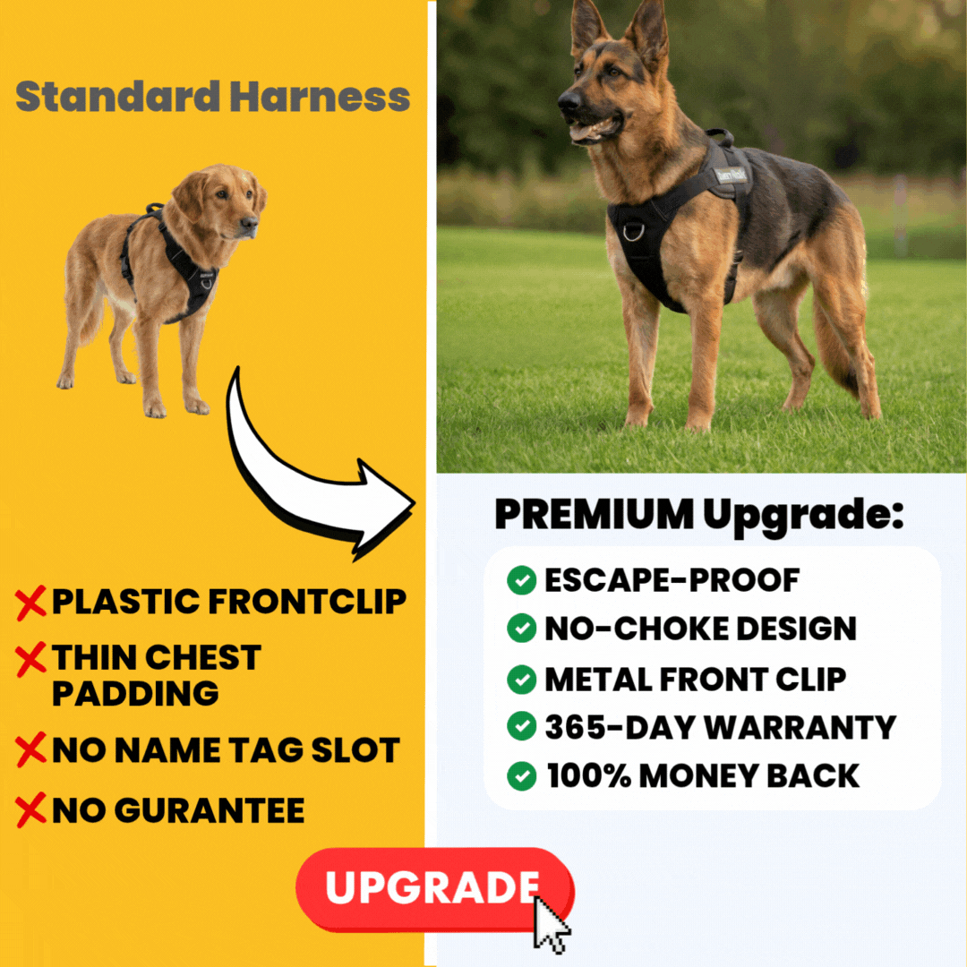 Upgrade To The Premium Harness (2x Padding, Less Rubbing