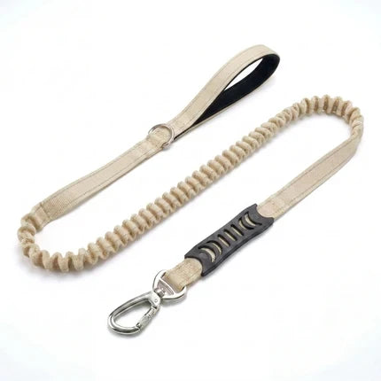 Premium Bungee Leash