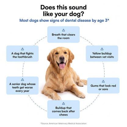 Dental meal topper - the easier way to support your pet’s dental health