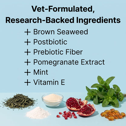 Dental meal topper - the easier way to support your pet’s dental health