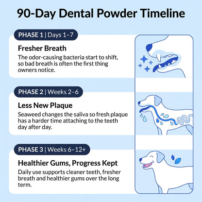 Dental meal topper - the easier way to support your pet’s dental health