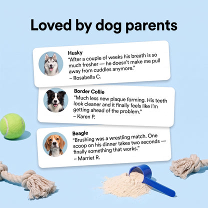 Dental meal topper - the easier way to support your pet’s dental health