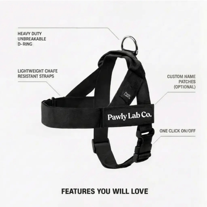 No-Pull Harness