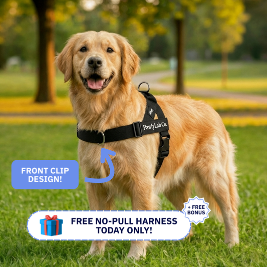 No-Pull Harness [Free Now]