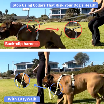No-Pull Harness [Free Today]
