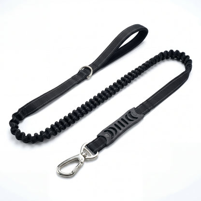 Premium Bungee Dog Leash