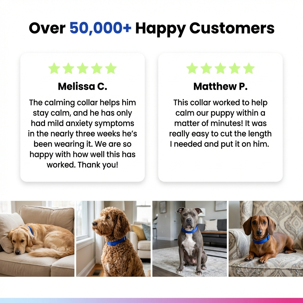 Pawly Collar [FREE TRIAL]