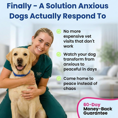 Pawly Collar [FREE TRIAL]