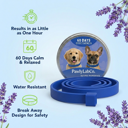Pawly Collar [FREE TRIAL]