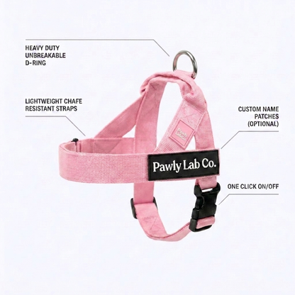 No-Pull Harness
