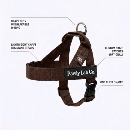 No-Pull Harness