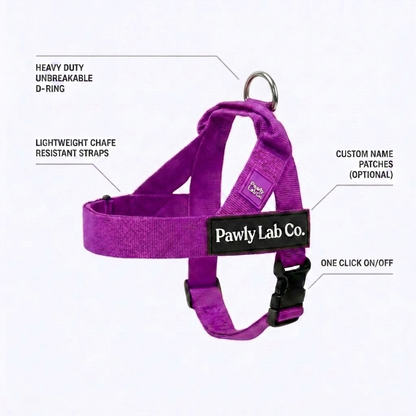 No-Pull Harness