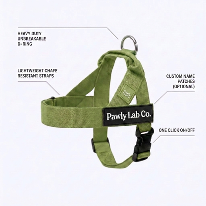 No-Pull Harness