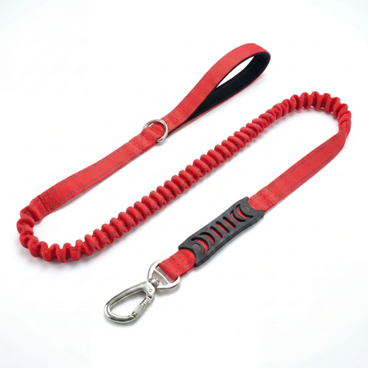 Premium Bungee Dog Leash