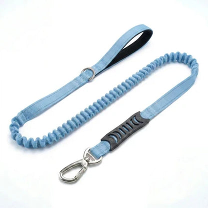 Premium Bungee Leash