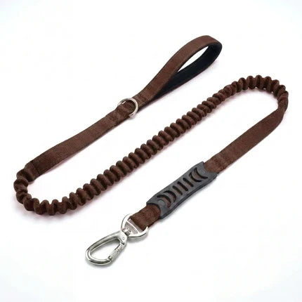 Premium Bungee Leash