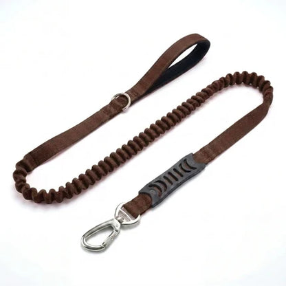 Premium Bungee Leash