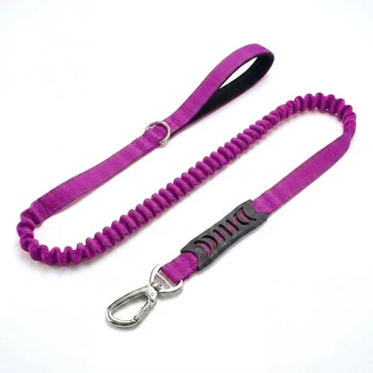 Premium Bungee Leash