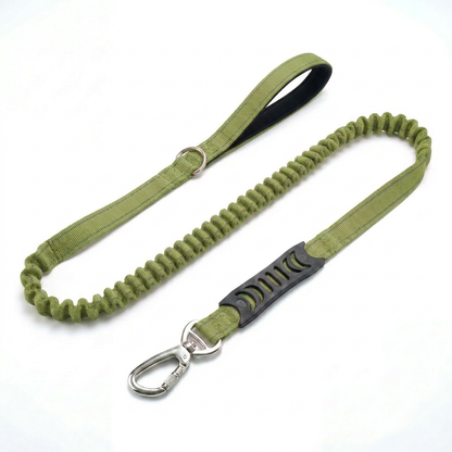 No-Pull Harness