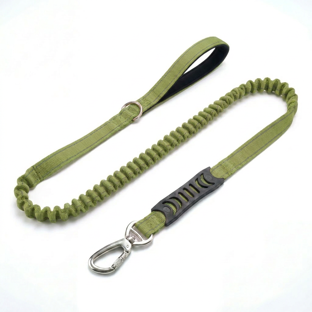 Premium Bungee Dog Leash