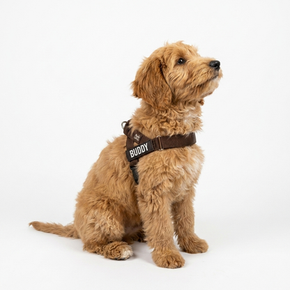 No-Pull Harness